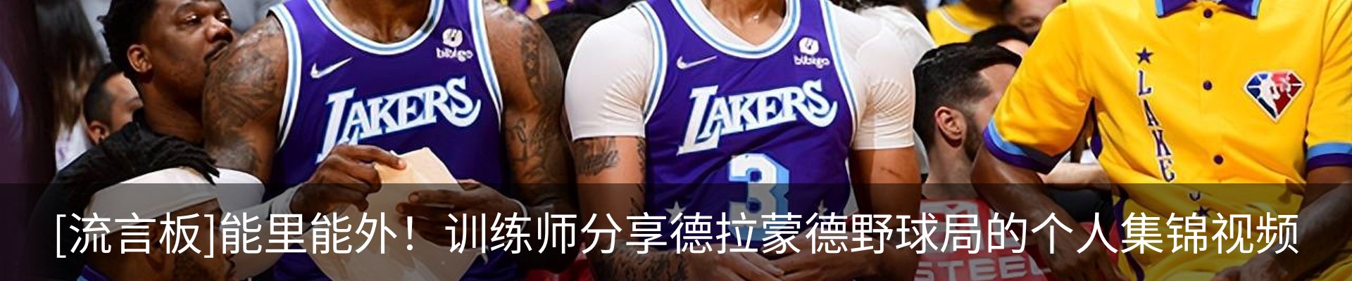 新闻动态